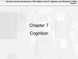 Chapter 7: Cognition