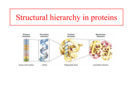 Lecture 6