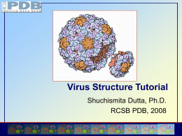 Building 3-D Virus Structures