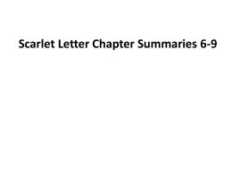 Scarlet Letter Chapter Summaries 6-9