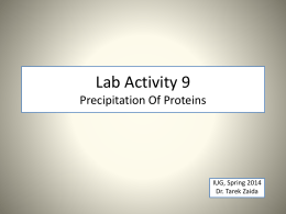 Lab Activity 9 Precipitation Of Proteins