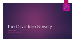 Schools Forum 2 Dec 2014 Agenda Item 4 The Olive Tree Nursery