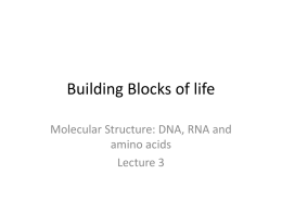 ecture 3: the building blocks of life