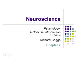Griggs Chapter 2: Neuroscience