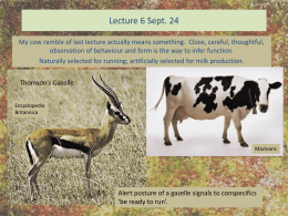 Lecture 6 Fluid for skeletons - University of Toronto Mississauga