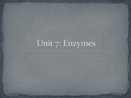 Unit 7: Enzymes