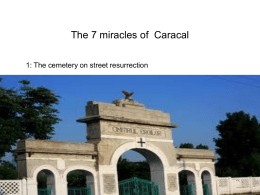 The 7 miracles of the caracal
