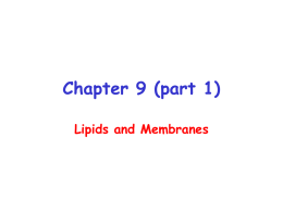 Chapter 9 (part 1)