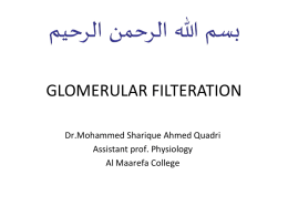 glomerular filteration
