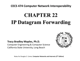 IP Datagram Header - California State University, Long Beach