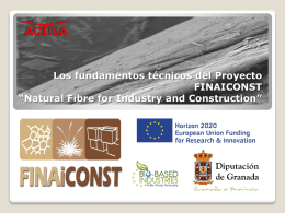 Presentaci&oacute;n Proyecto Finaiconst