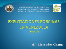 explotaciones porcinas en venezuela - Saber UCV