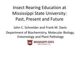 Insect rearing at Mississippi State University: past, present, and future