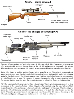 Air rifle - Wonderboom field target
