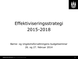 Effektiviseringsstrategi 2015-2018