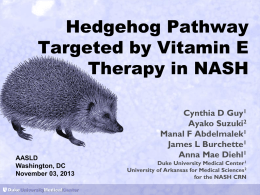 Hedgehog Pathway Targeted by Vitamin E Therapy in NASH