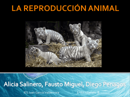 LA REPRODUCCIÓN ANIMAL - IES Juan García Valdemora