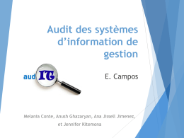 Audit des systèmes d*information de gestion