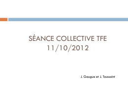 Séance collective 11/10/2012