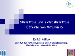 Skelettale und extraskelettale Effekte von Vitamin D – E. KALLAY