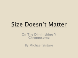 Size Doesn*t Matter