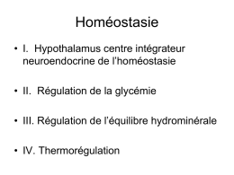 homeostasie-20-10