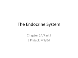 PPT14Chapter14TheEndocrineSystemPartI