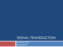 SIGNAL TRANSDUCTION.ppt