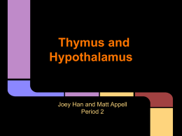 Thymus and Hypothalamus