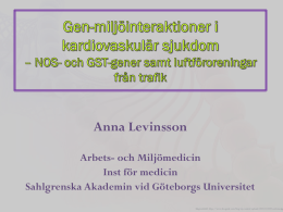 Anna Levinsson