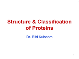 A simple-to-follow classification of proteins.