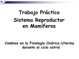 Presentacion TP Reproductor 2014