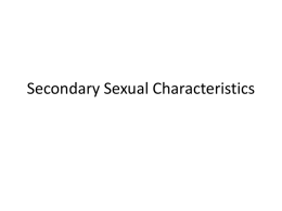 Secondary Sexual Characteristics
