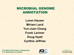 Automated Microbial Genome Annotation