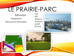 Le prairie-parc