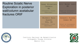 Routine Sciatic Nerve Exploration in posterior wall