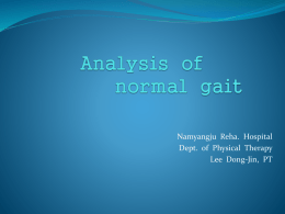 analysis__of__normal__gait