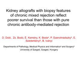 Kidney allografts with biopsy features of chronic mixed rejection