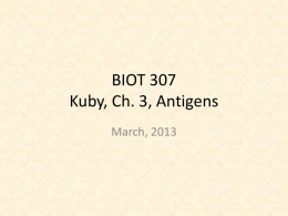 BIOT 307 Kuby, Ch. 3, Antigens