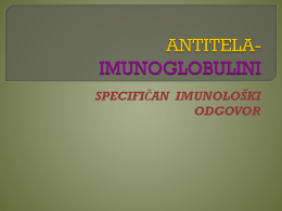 ANTITELA- IMUNOGLOBULINI