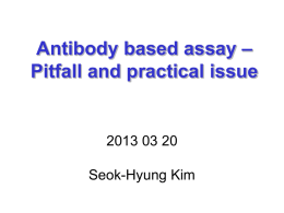 Antibody based assay