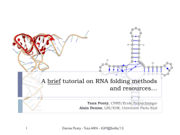 RNA 3D and 2D structure - LIX