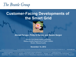 Brattle-Hanser-Sergici Presentation11.14.12
