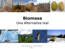 biomasa_una_alternativa_real
