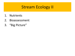 Stream Ecology II-2011 - Ecosystem Restoration through