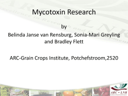 Plant density field trial