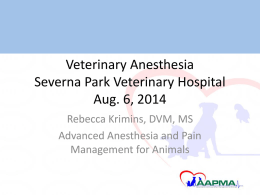 SPVH - Advanced Anesthesia and Pain Management for Animals