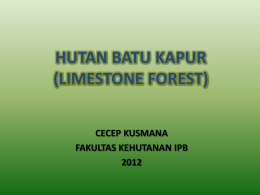 HUTAN BATU KAPUR (LIMESTONE FOREST)