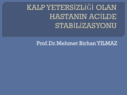 1333356464_ - Prof.Dr. Mehmet Birhan Yılmaz