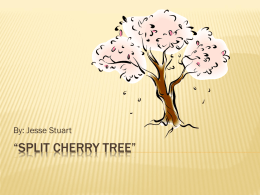 Split Cherry Tree - Laurel County Schools